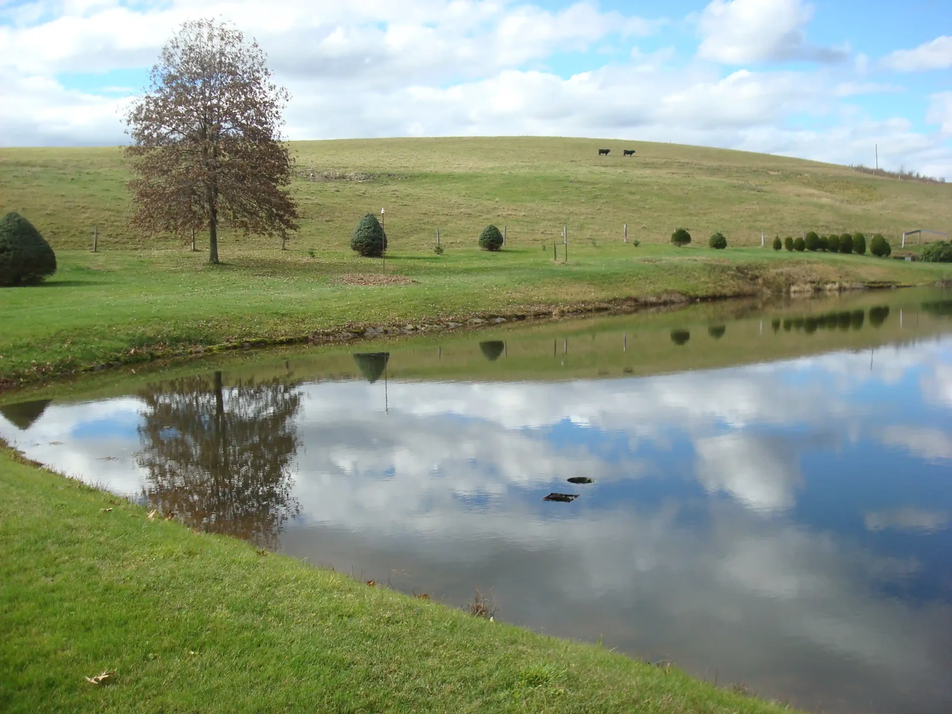 Farm retention pond