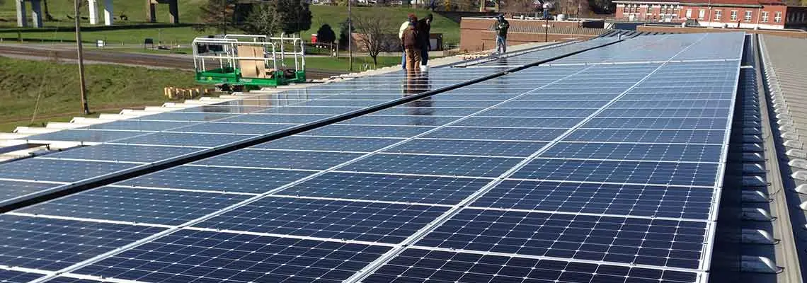 Pickering Associates employees inspecting solar arrays